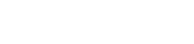 WordPress web design logo