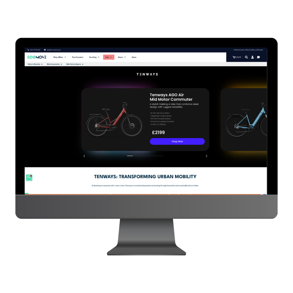 ecommerce seo project ecommerce seo project