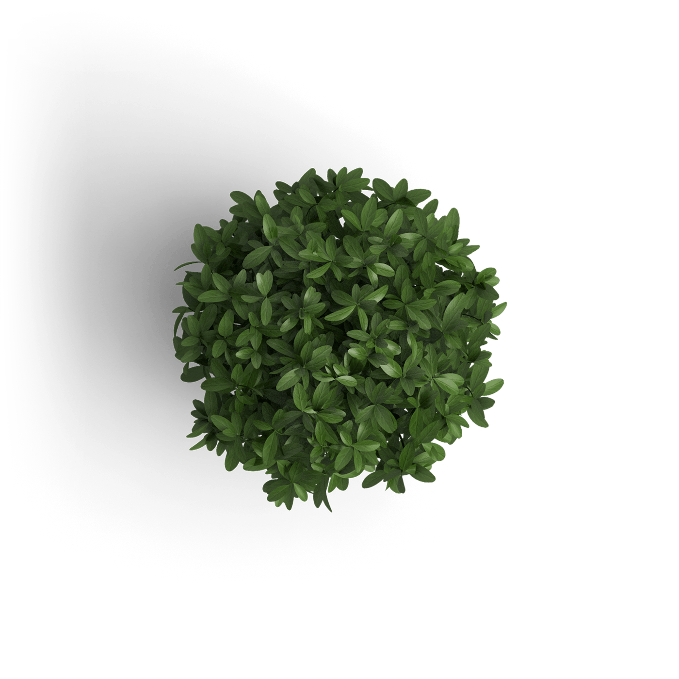 object plant 1